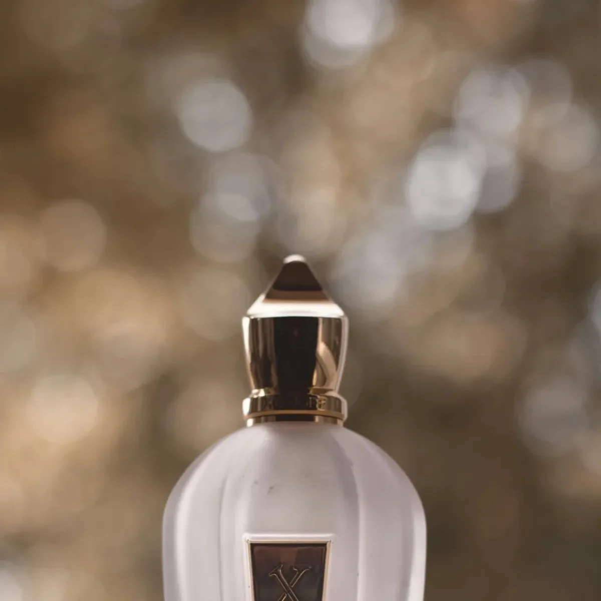 Bvlgari Man Wood Essence Eau de Parfum